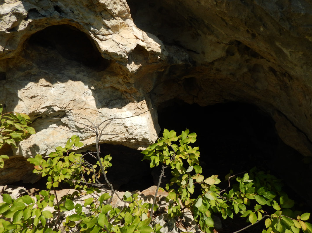 Exposure of the upper portion of the Pahasapa Limestone in Little Elk Creek canyon showing its'  mega-porous character