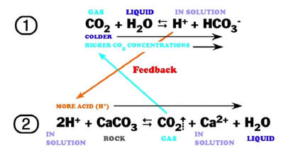 carbonate-chemistry-equations_1