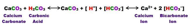 carbonate-dissolve