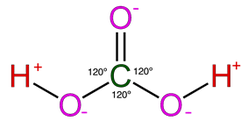 Carbon Dioxide