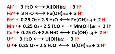 hydrolysis-reactions