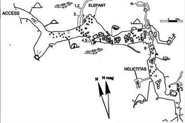 Bat adaptability to High Radon in several Mexican Caves