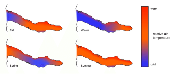 schematic-profile-of-the-air-temperature-in-a-cold-trap-cave-influenced-by-the-outside